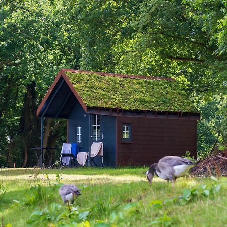 Apartmán Fehnkate Papenburg Exteriér fotografie
